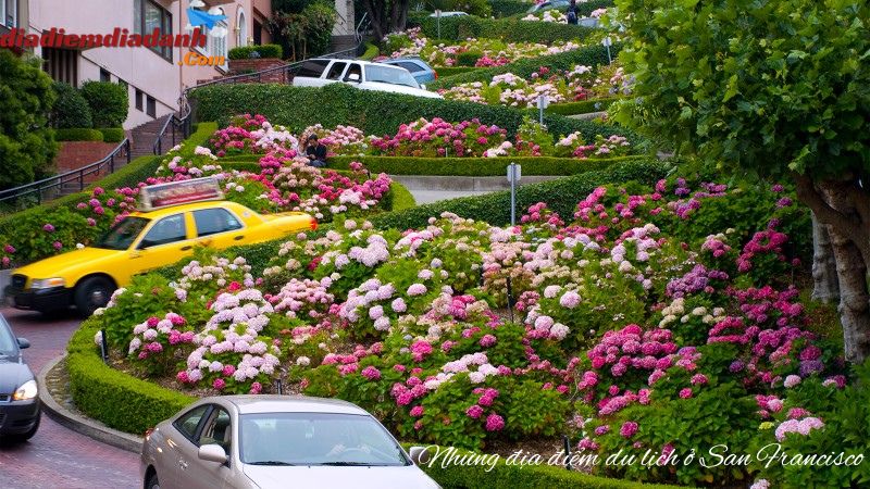 Những địa điểm du lịch ở San Francisco 