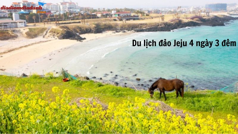 Du lịch đảo Jeju 4 ngày 3 đêm