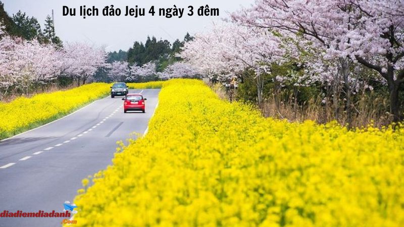 Du lịch đảo Jeju 4 ngày 3 đêm