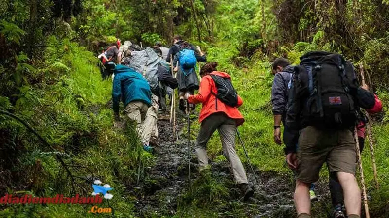 Top 8 Địa Điểm Trekking Gần Hà Nội Thú Vị nhất